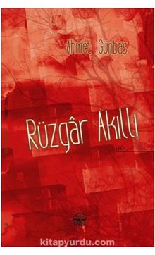 Rüzgar Akıllı kitap kapağı