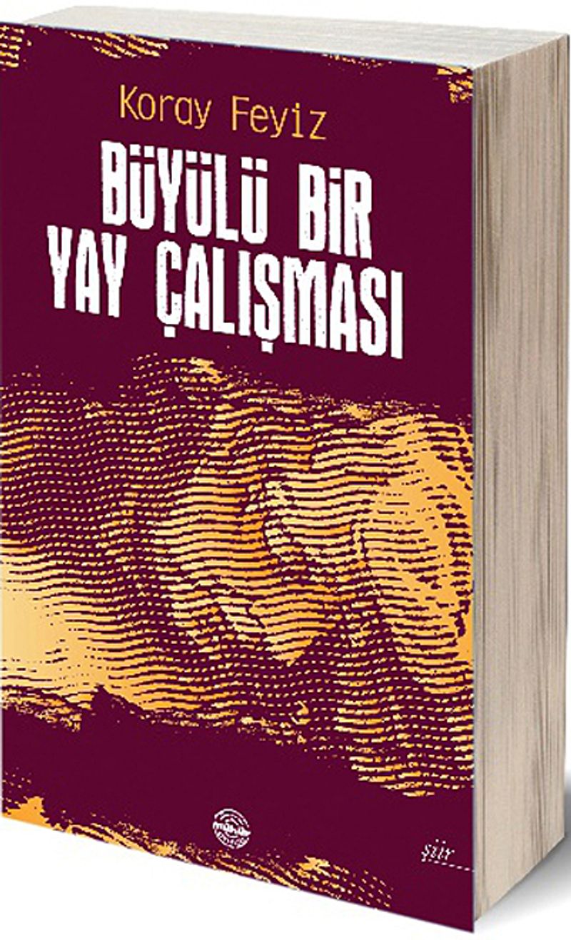Büyülü Bir Yay Çalışması kitap kapağı