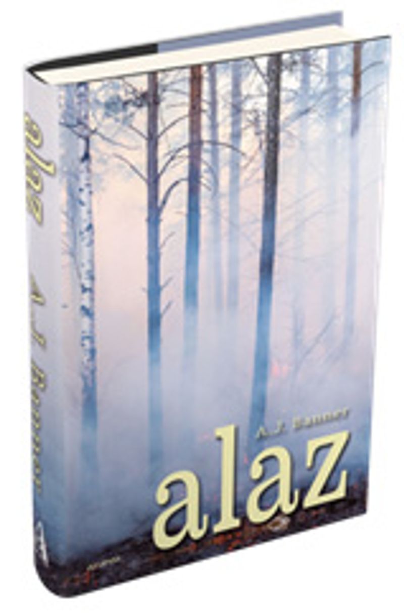 Alaz (Ciltli) kitap kapağı
