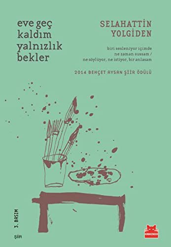 Eve Geç Kaldım Yalnızlık Bekler kitap kapağı
