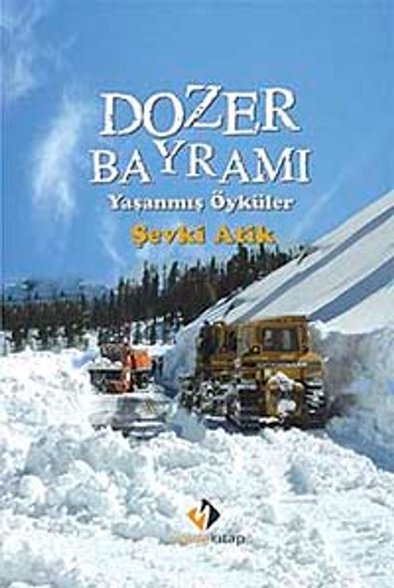 Dozer Bayramı - Yaşanmış Öyküler kitap kapağı