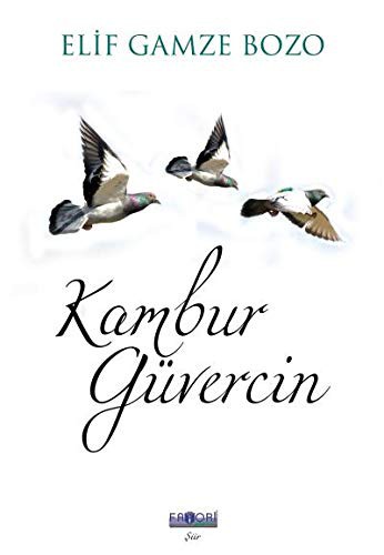 Kambur Güvercin kitap kapağı