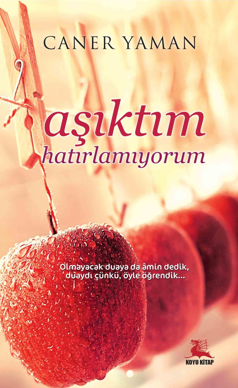 Aşıktım Hatırlamıyorum kitap kapağı