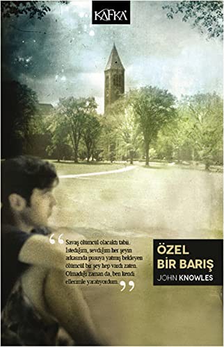 Özel Bir Barış kitap kapağı