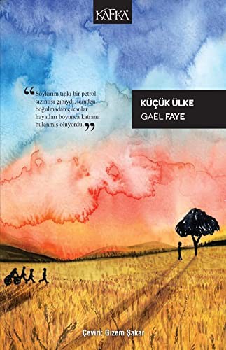 Küçük Ülke kitap kapağı