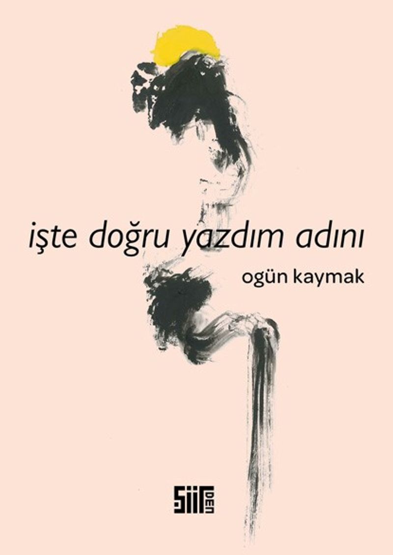 İşte Doğru Yazdım Adını kitap kapağı