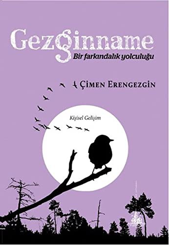 Gezginname Bir Farkındalık Yolculuğu kitap kapağı