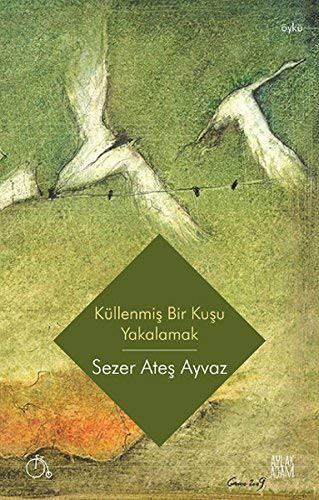 Küllenmiş Bir Kuşu Yakalamak kitap kapağı