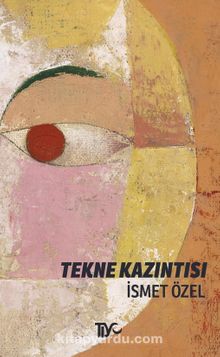 Tekne Kazıntısı kitap kapağı