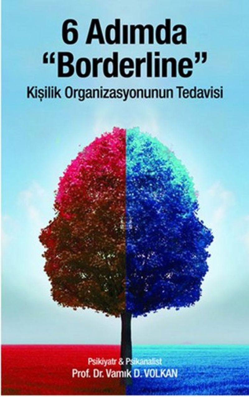 6 Adımda Borderline Kişilik Organizasyonunun Tedavisi kitap kapağı