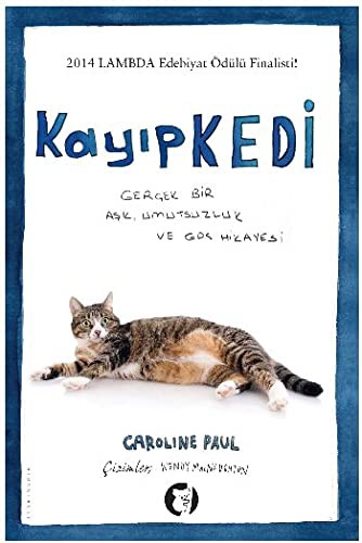 Kayıp Kedi kitap kapağı