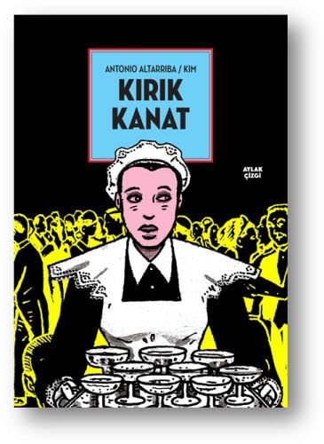 Kırık Kanat kitap kapağı