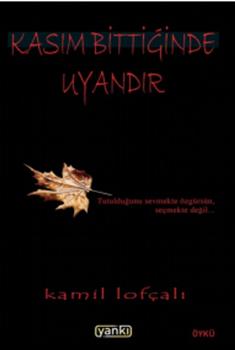 Kasım Bittiğinde Uyandır kitap kapağı
