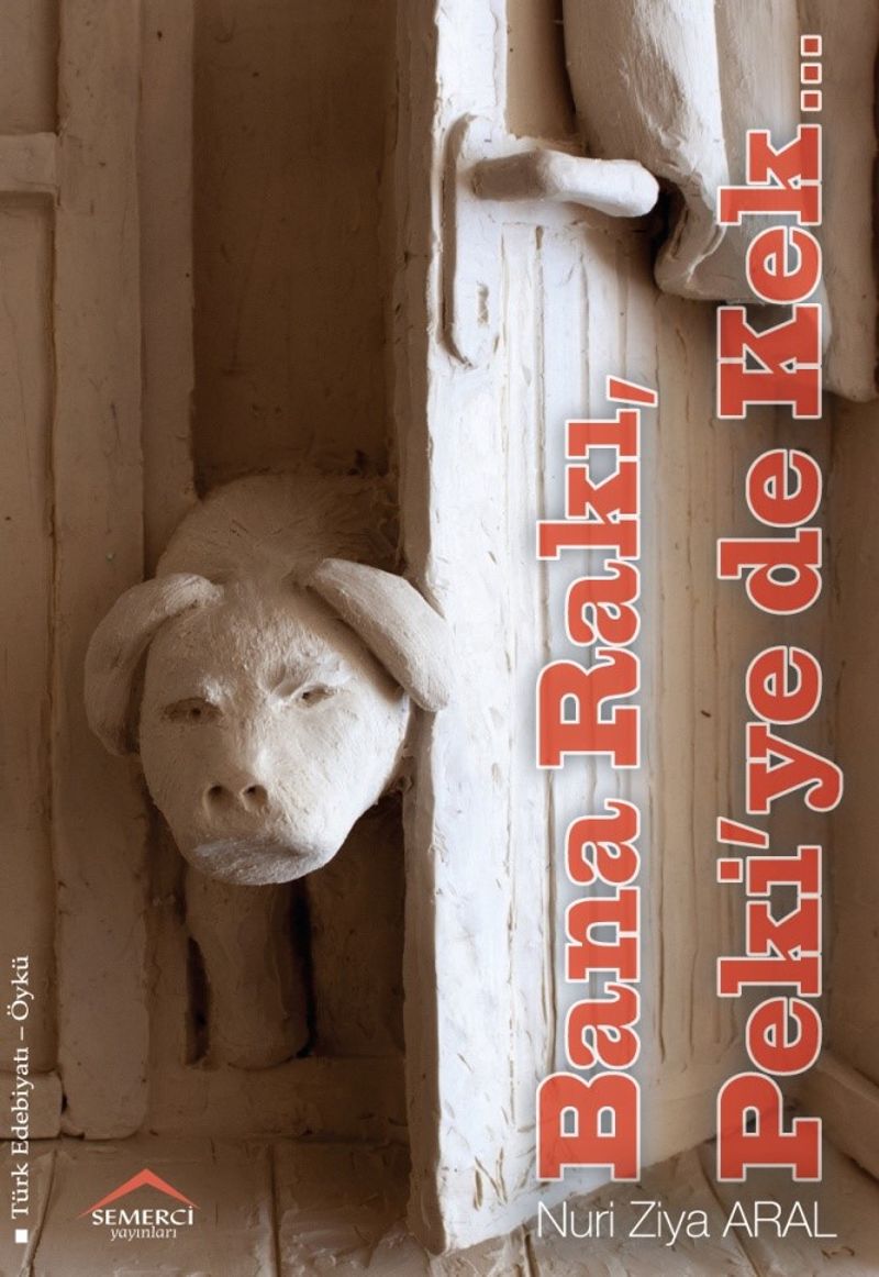 Bana Rakı, Peki'ye de Kek kitap kapağı