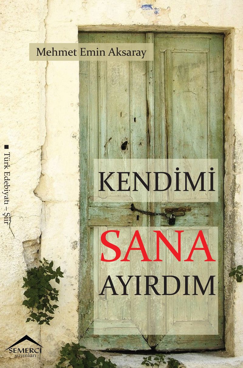 Kendimi Sana Ayırdım kitap kapağı