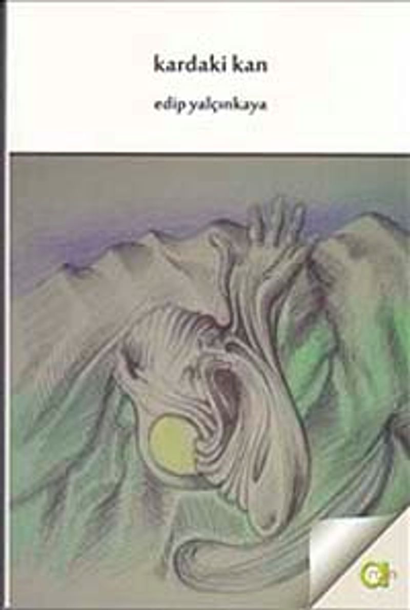 Kardaki Kan kitap kapağı