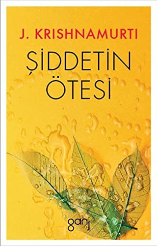 Şiddetin Ötesi kitap kapağı