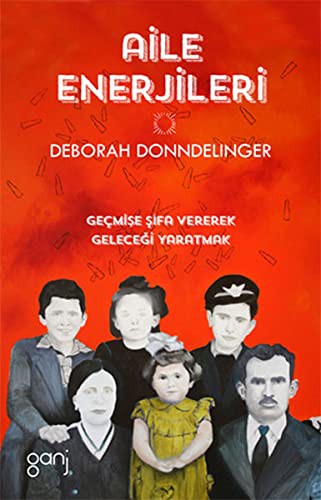Aile Enerjileri kitap kapağı
