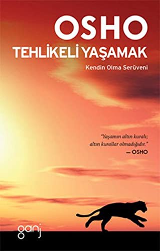 Tehlikeli Yaşamak kitap kapağı