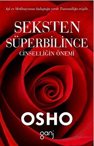 Seksten Süperbilince Cinselliğin Önemi kitap kapağı