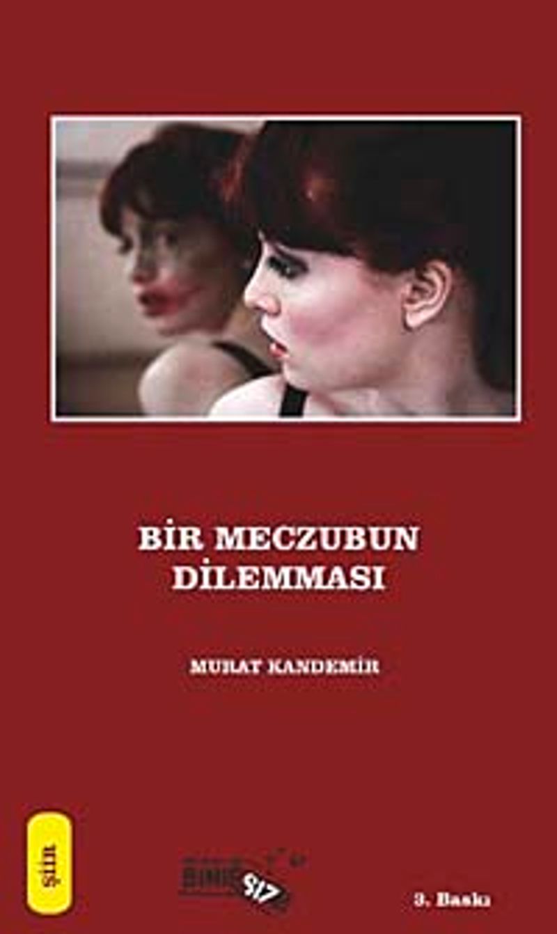 Bir Meczubun Dilemması kitap kapağı
