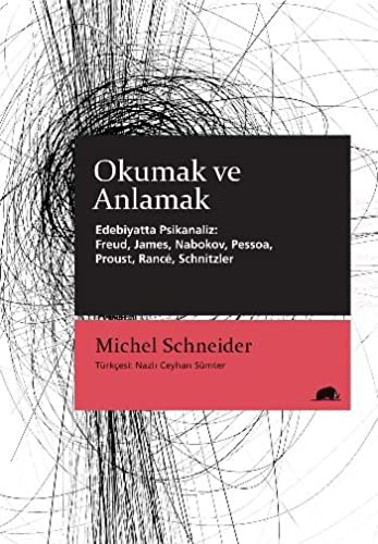 Okumak ve Anlamak - Edebiyatta Psikanaliz: Freud, James, Nabokov, Pessoa, Proust, Rancé, Schnitzler kitap kapağı