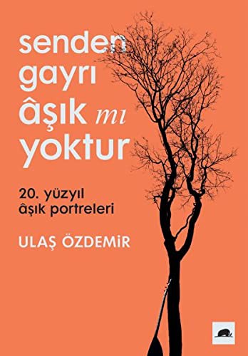 Senden Gayrı Aşık mı Yoktur & 20. Yüzyıl Aşık Portreleri kitap kapağı
