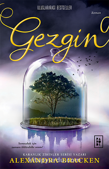 Gezgin / Yolcu Serisi 2 (Karton Kapak) kitap kapağı