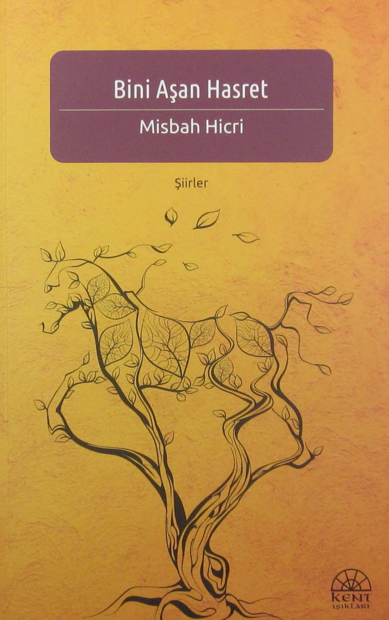 Bini Aşan Hasret kitap kapağı