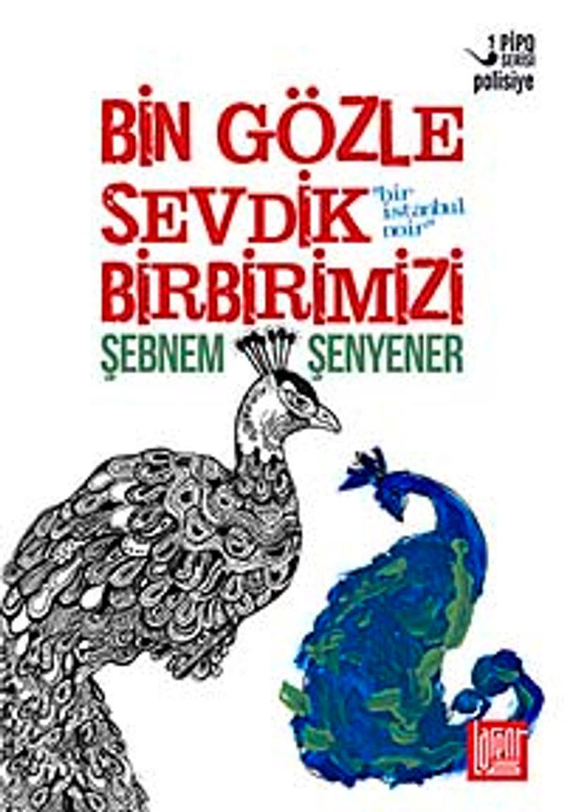 Bin Gözle Sevdik Birbirimizi kitap kapağı