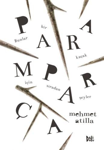 Paramparça kitap kapağı