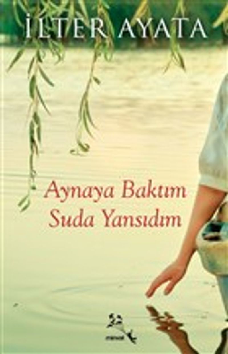 Aynaya Baktım Suda Yansıdım kitap kapağı