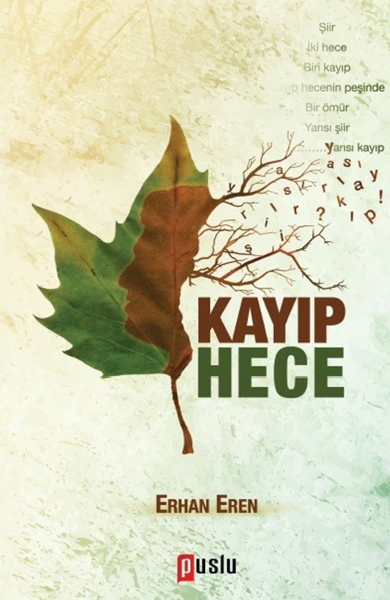 Kayıp Hece kitap kapağı
