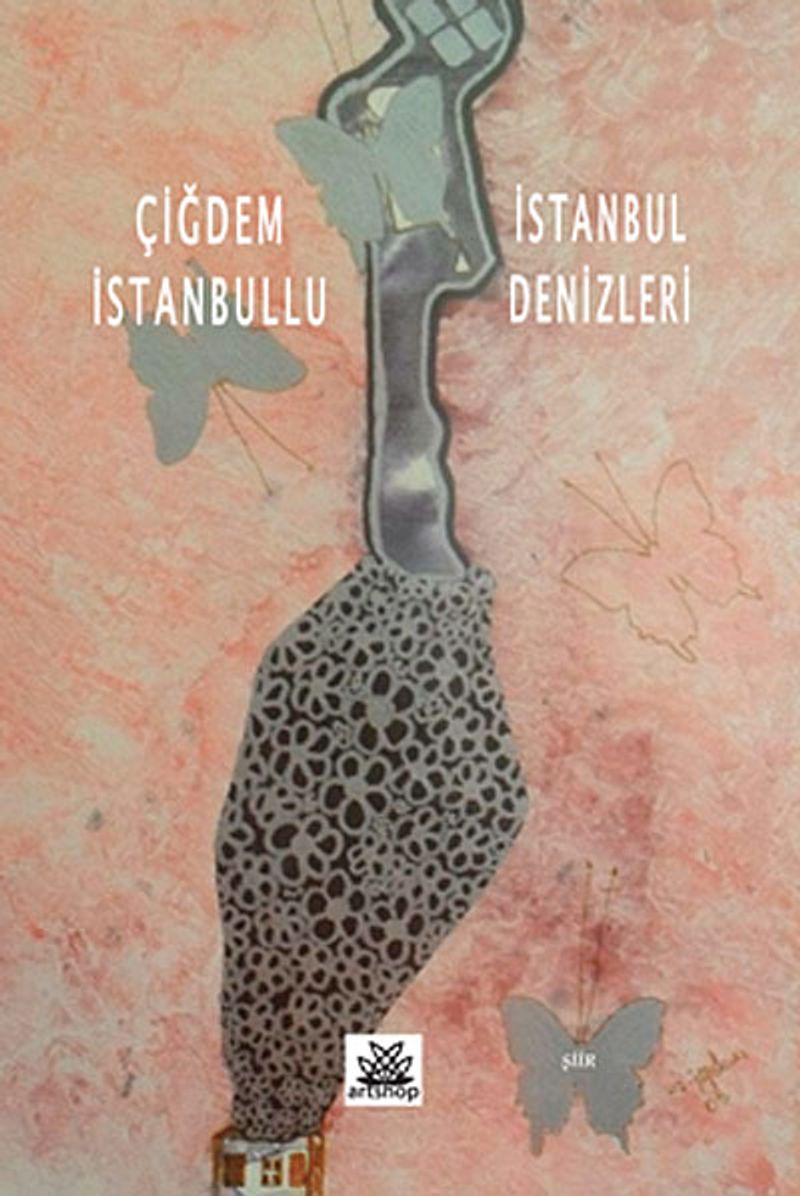İstanbul Denizleri kitap kapağı