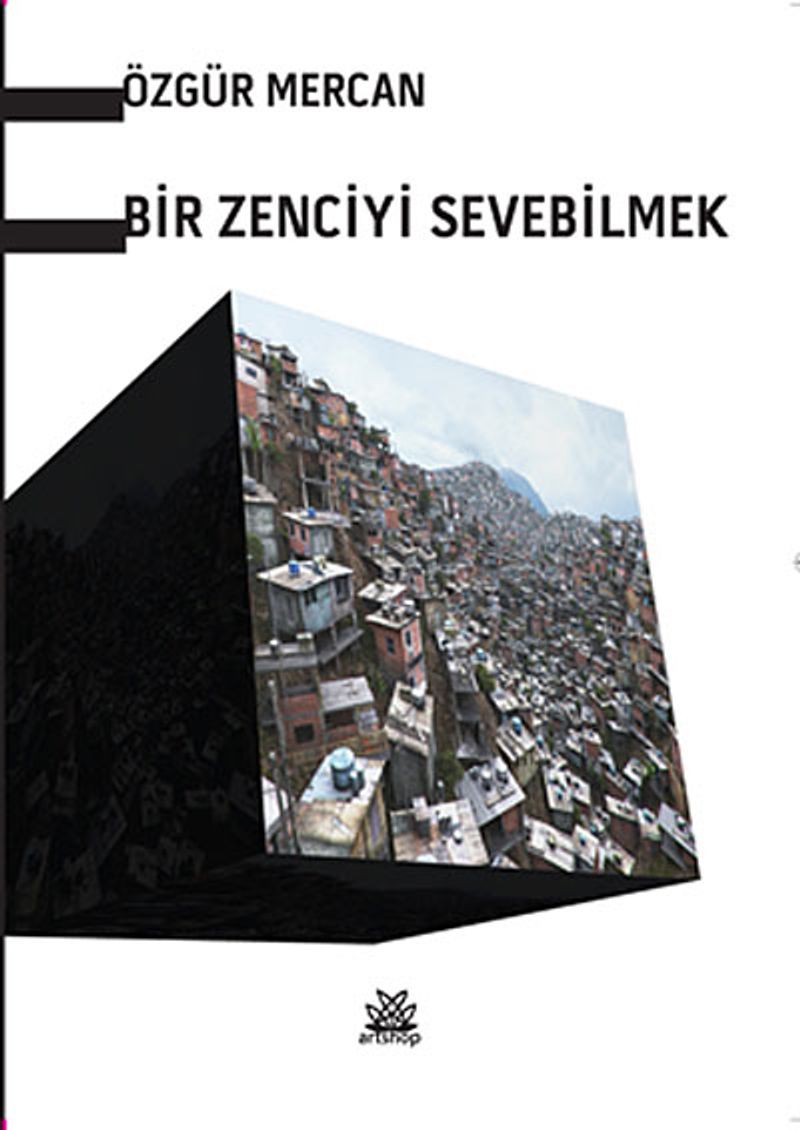 Bir Zenciyi Sevebilmek kitap kapağı
