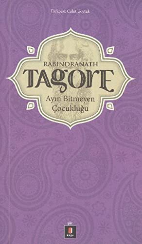 Ayın Bitmeyen Çocukluğu kitap kapağı