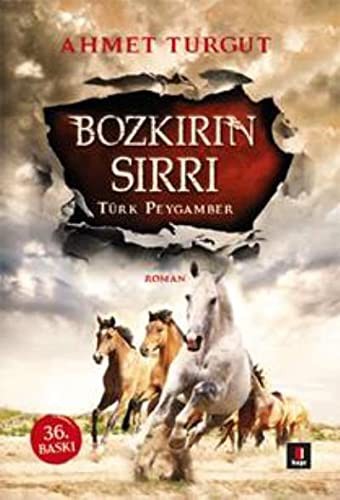 Bozkırın Sırrı & Türk Peygamber kitap kapağı