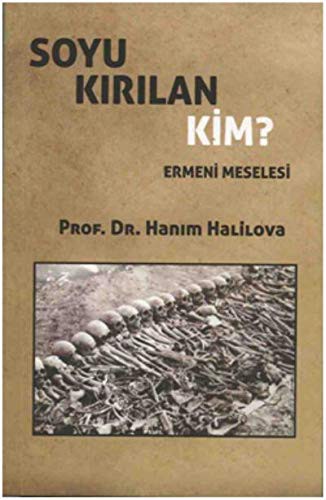 Soyu Kırılan Kim? Ermeni Meselesi kitap kapağı