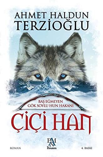 Baş Eğmeyen Gök Soylu Hun Hakanı Çiçi Han kitap kapağı