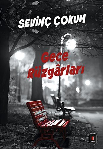 Gece Rüzgarları kitap kapağı