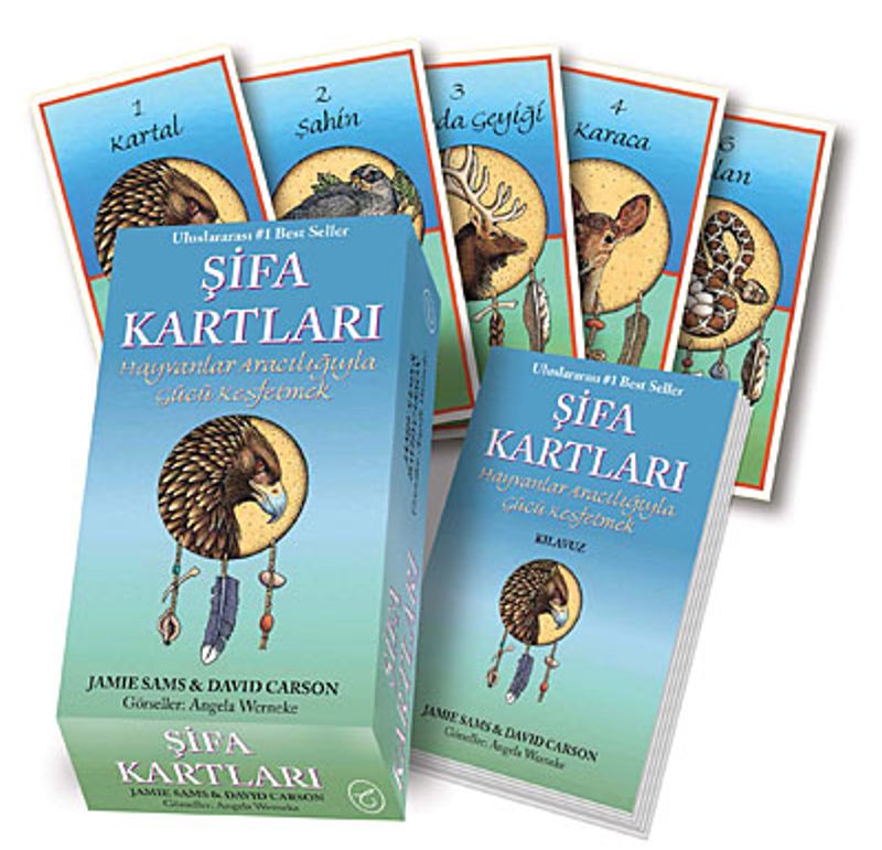 Şifa Kartları kitap kapağı