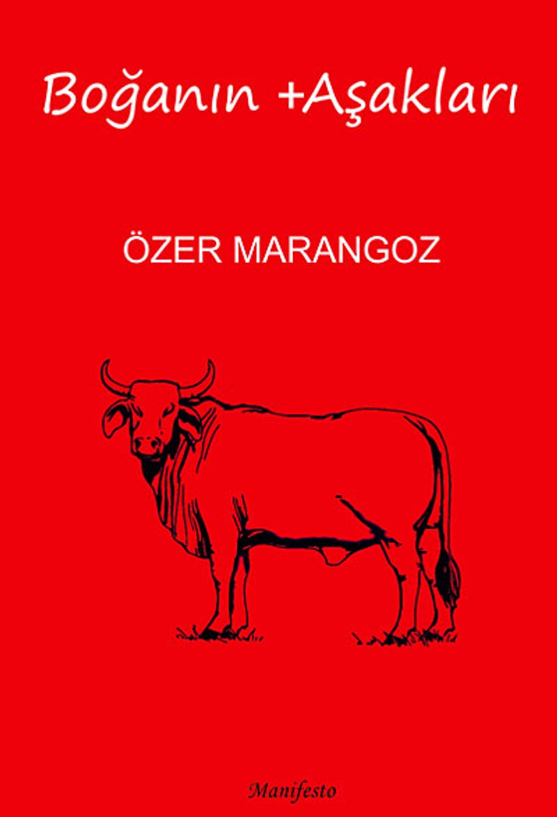 Boğanın + Aşakları kitap kapağı