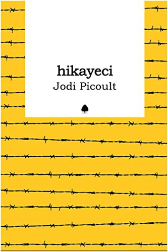 Hikayeci kitap kapağı