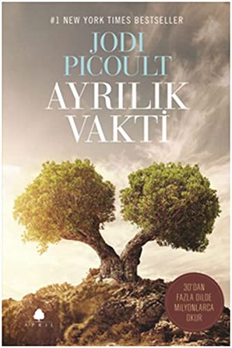 Ayrılık Vakti kitap kapağı