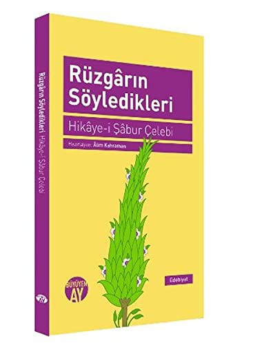 Rüzgarın Söyledikleri Hikye-i Şabur Çelebi kitap kapağı