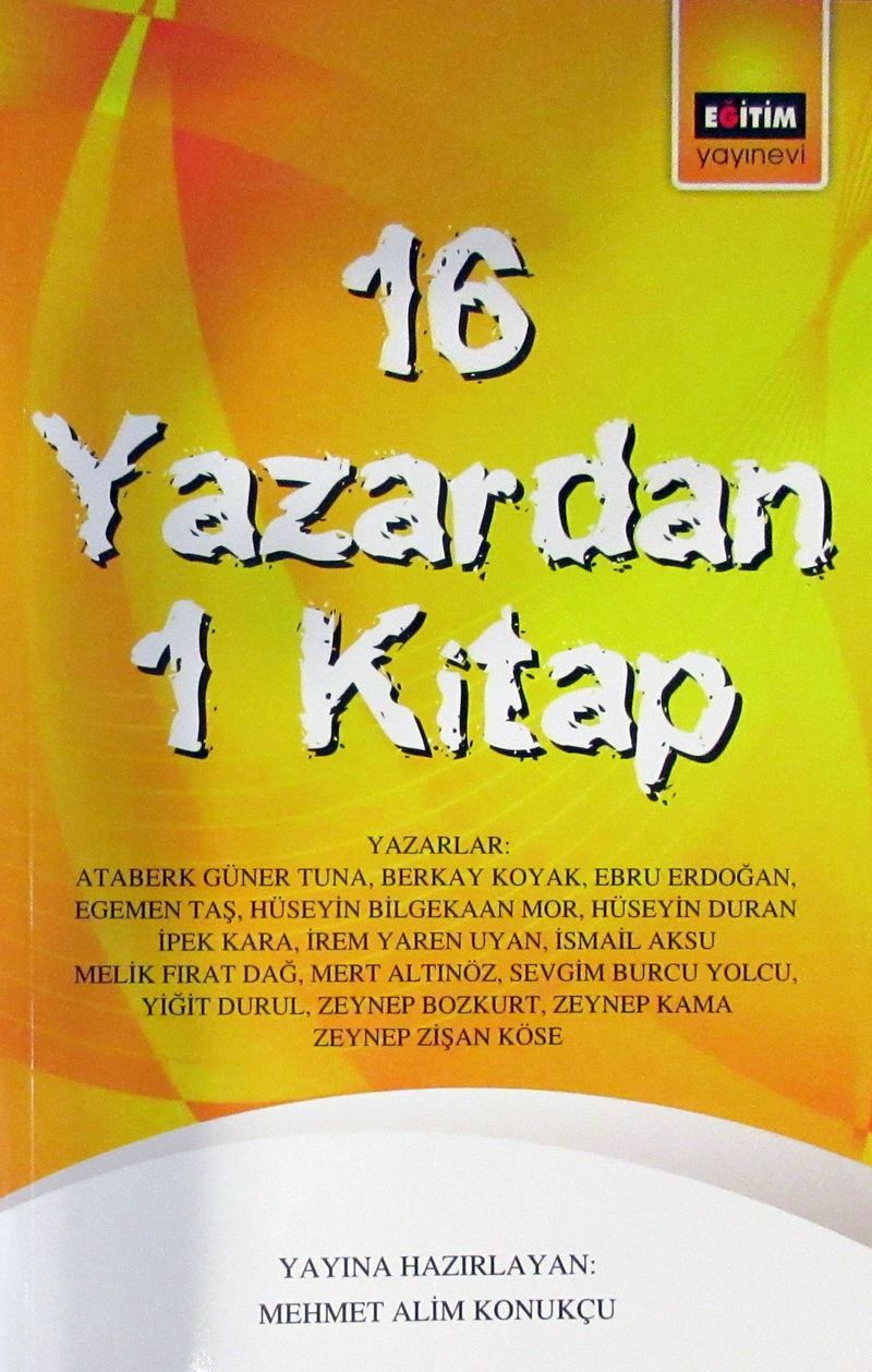 16 Yazardan 1 Kitap kitap kapağı