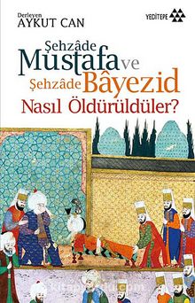 Şehzade Mustafa ve Şehzade Bayezid Nasıl Öldürüldüler? kitap kapağı