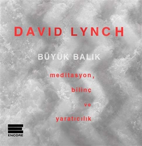 Büyük Balık Meditasyon, Bilinç ve Yaratıcılık kitap kapağı