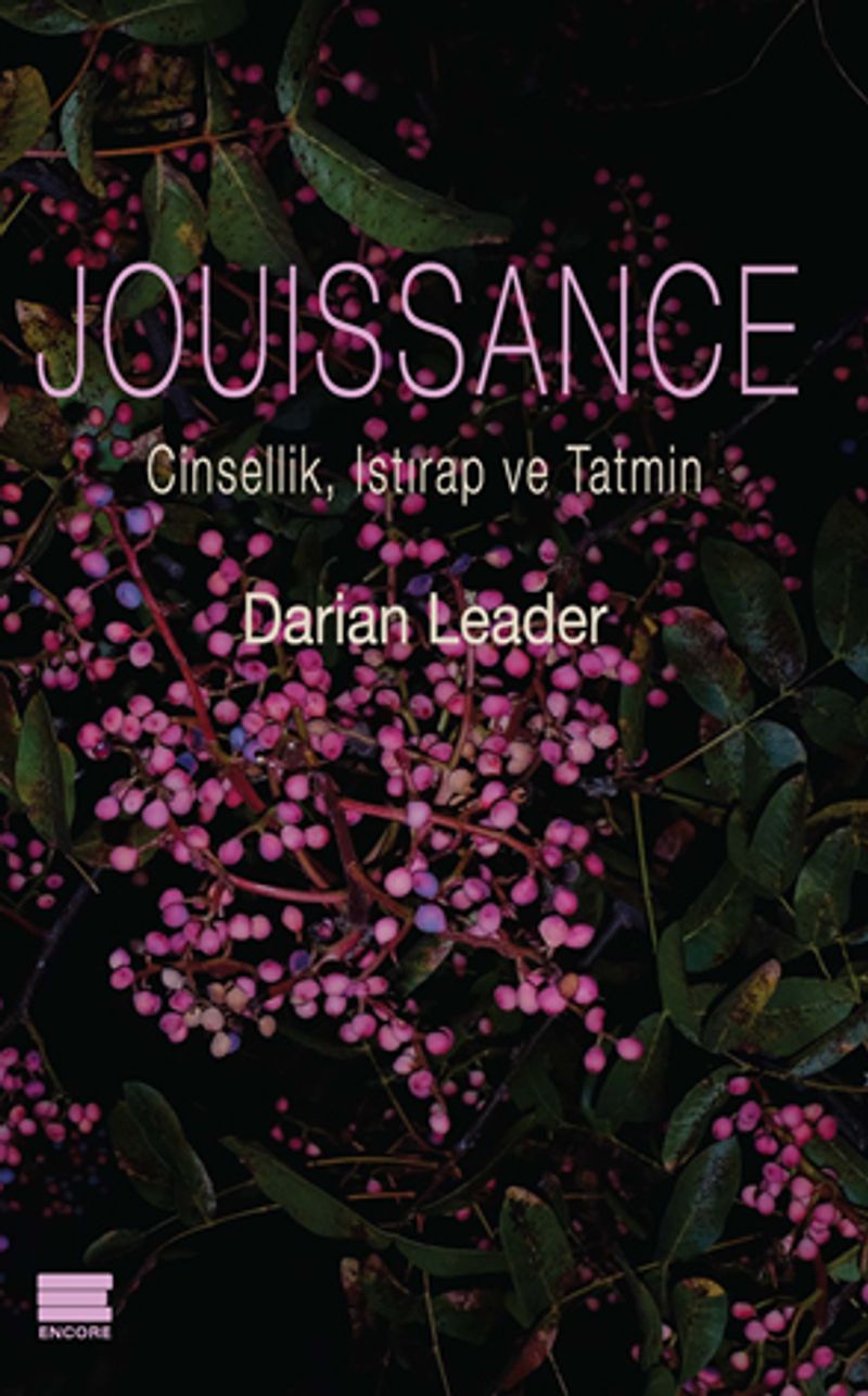 Jouissance Cinsellik, Istırap ve Tatmin kitap kapağı