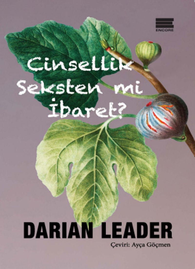 Cinsellik Seksten mi İbaret? kitap kapağı